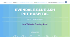 Desktop Screenshot of ebapethospital.com